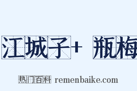 江城子+瓶梅是什么意思的图片